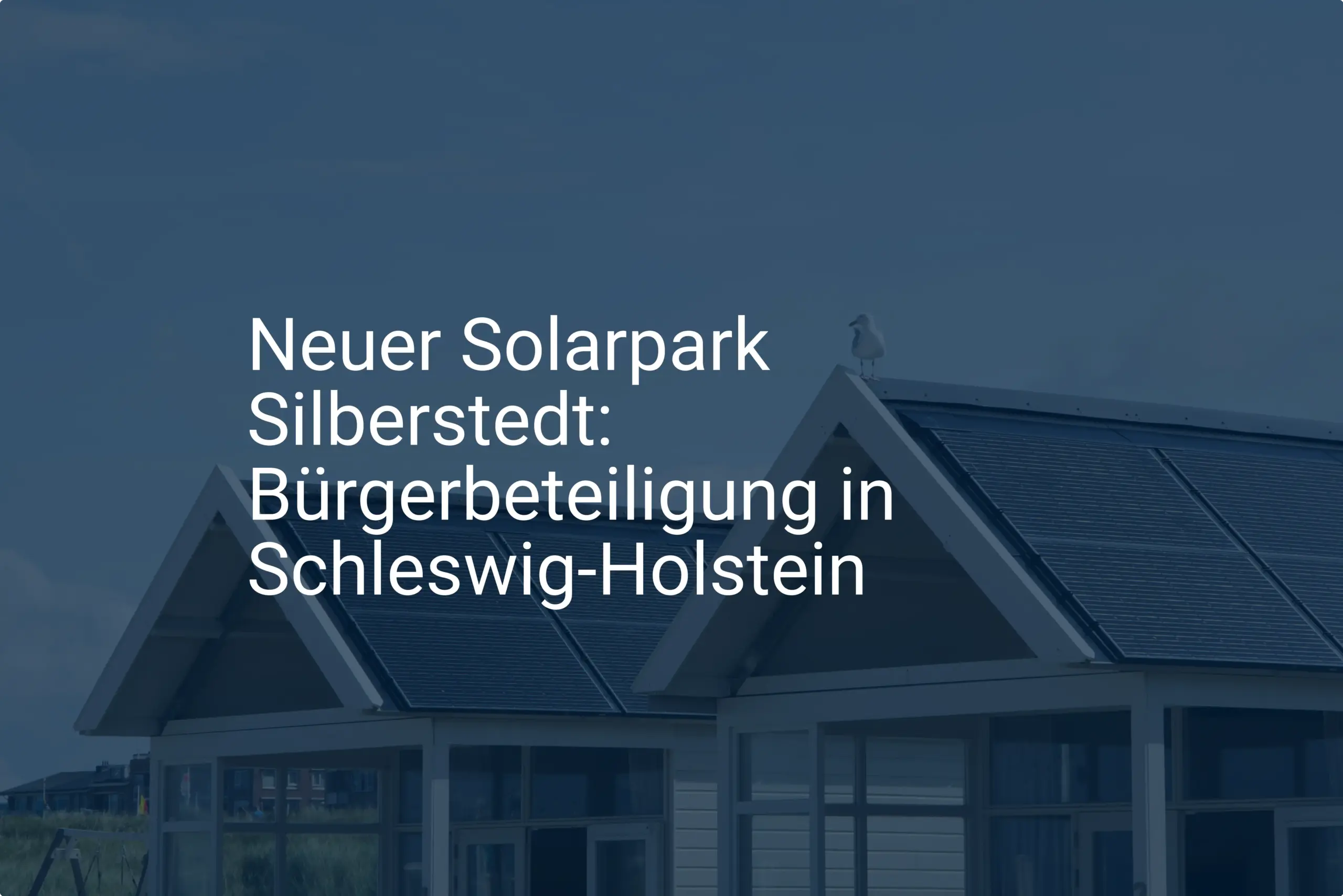Neuer Solarpark Silberstedt: Bürgerbeteiligung in Schleswig-Holstein