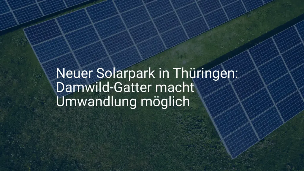 Neuer Solarpark in Thüringen: Damwild-Gatter macht Umwandlung möglich