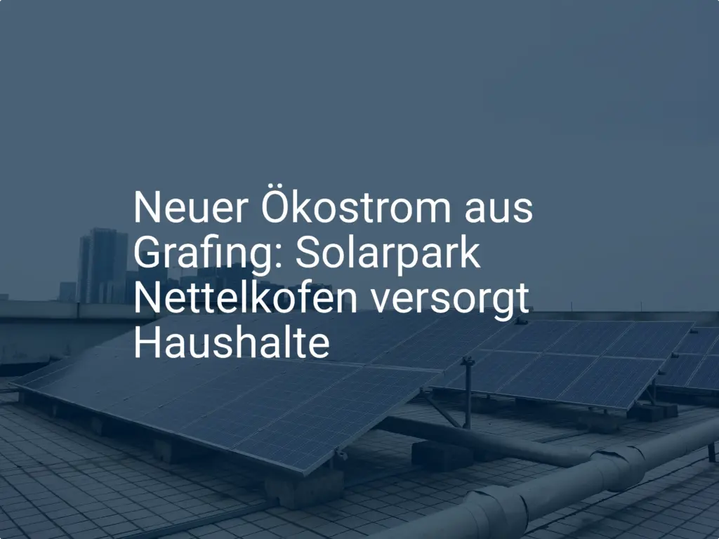 Neuer Ökostrom aus Grafing: Solarpark Nettelkofen versorgt Haushalte