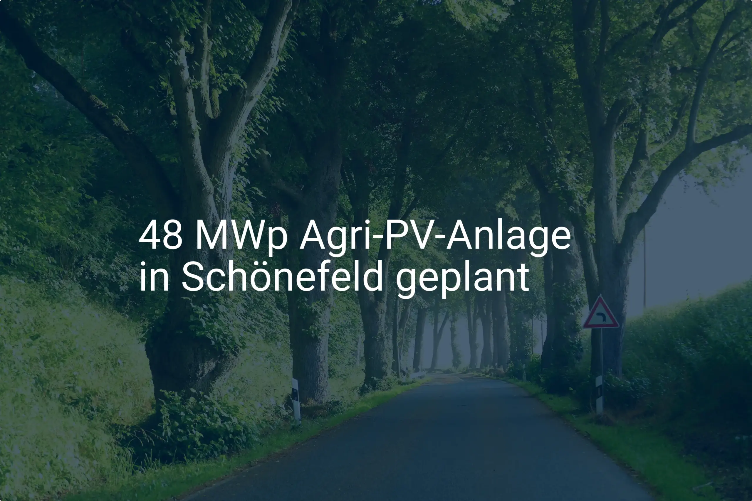 Neues Agri-PV-Anlage Projekt: Schönefeld (Brandenburg) setzt auf Solarstrom