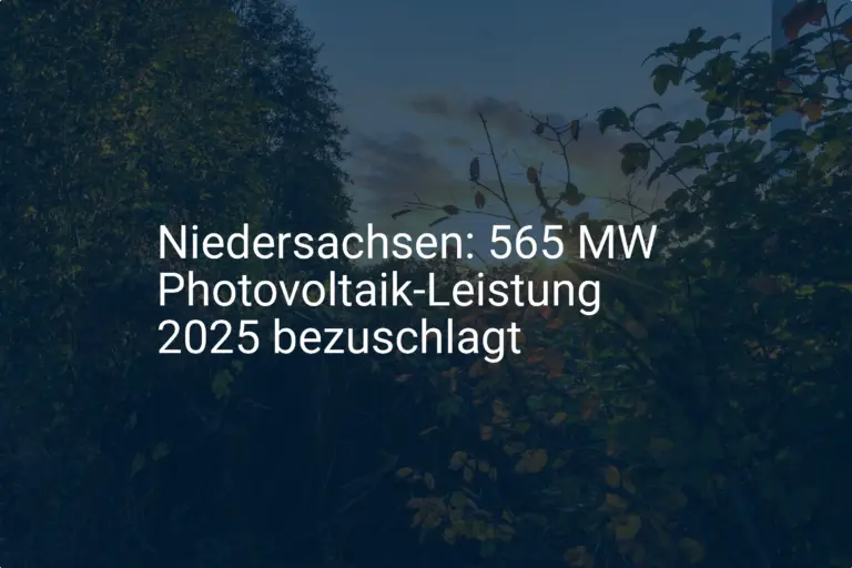 Niedersachsen setzt auf Photovoltaik: Förderung erreicht 2025 neue Dimensionen