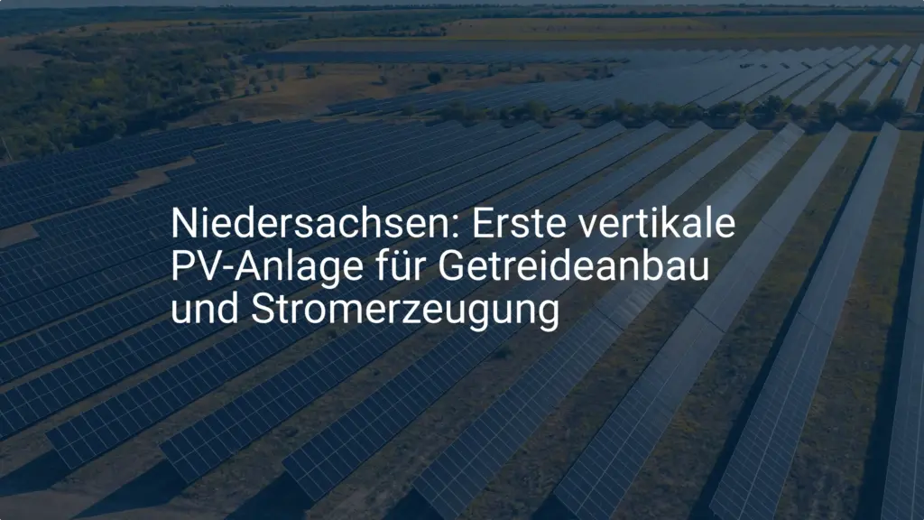 Niedersachsen setzt auf vertikale PV-Anlage für Getreideanbau und Strom