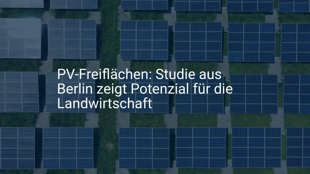 PV-Freiflächen: Studie aus Berlin zeigt Potenzial für die Landwirtschaft
