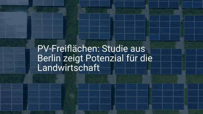 PV-Freiflächen: Studie aus Berlin zeigt Potenzial für die Landwirtschaft