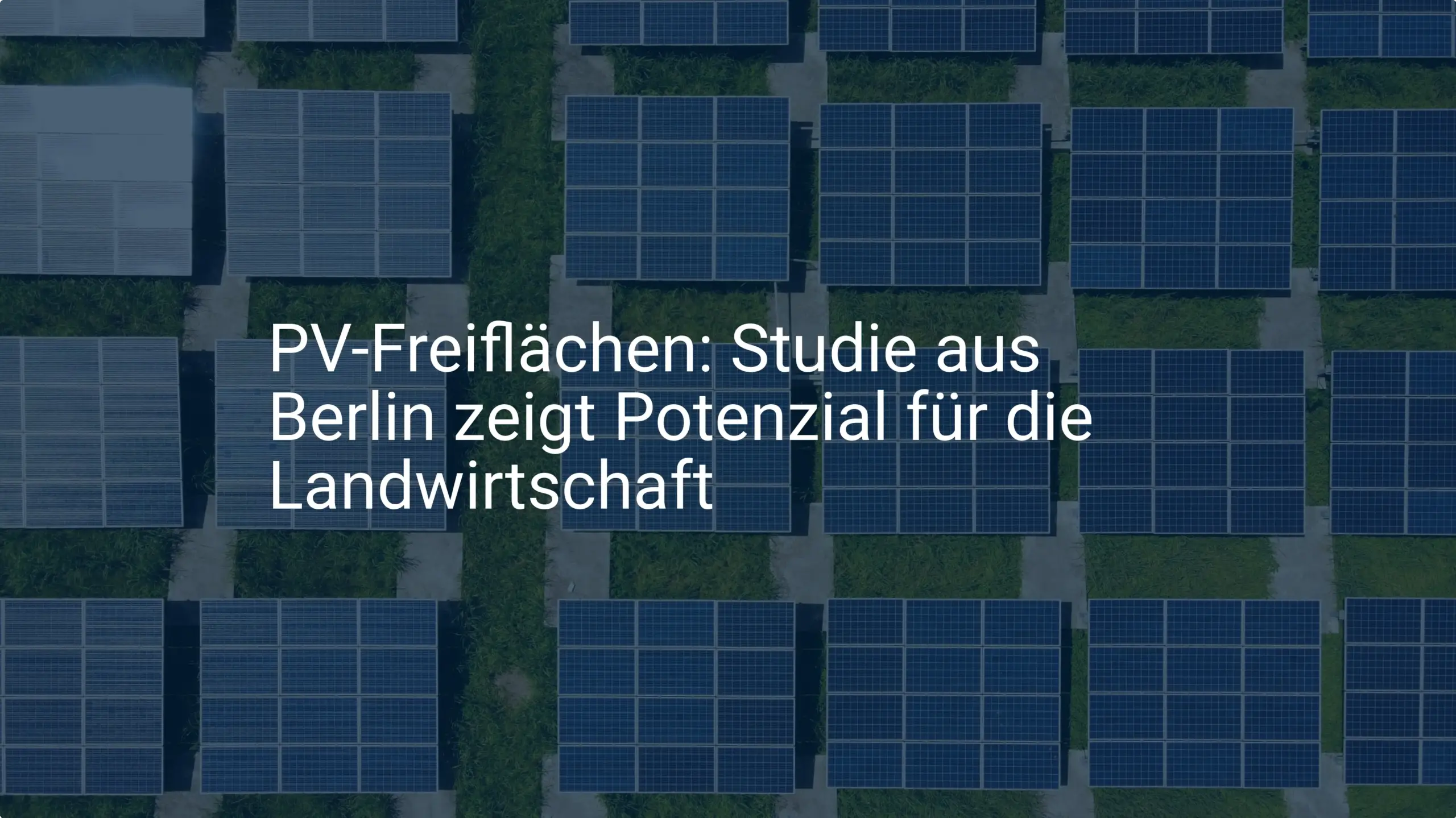 PV-Freiflächen: Studie aus Berlin zeigt Potenzial für die Landwirtschaft