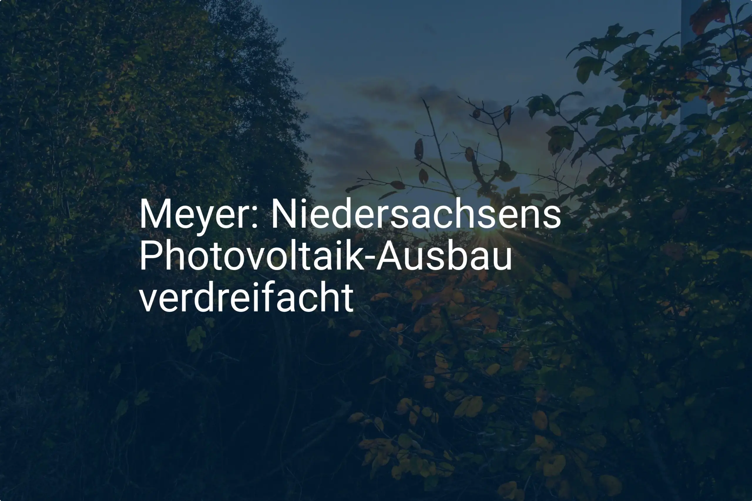 Photovoltaik-Ausbau: Niedersachsen übertrifft 2024 seine Ziele deutlich