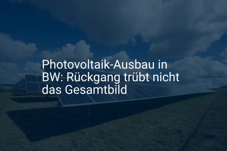 Photovoltaik-Ausbau in BW: Rückgang trübt nicht das Gesamtbild