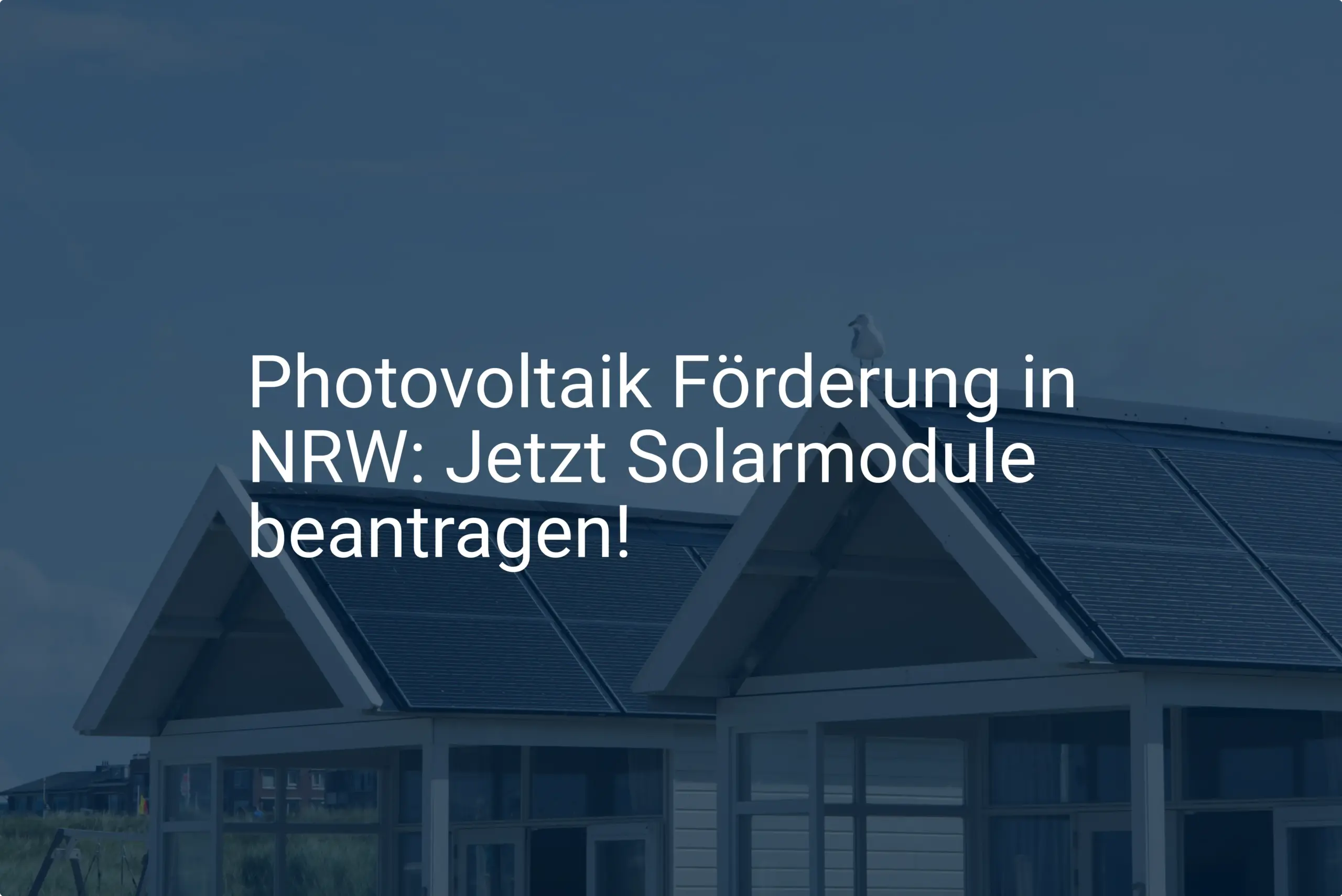 Photovoltaik Förderung in NRW: Jetzt Solarmodule beantragen!