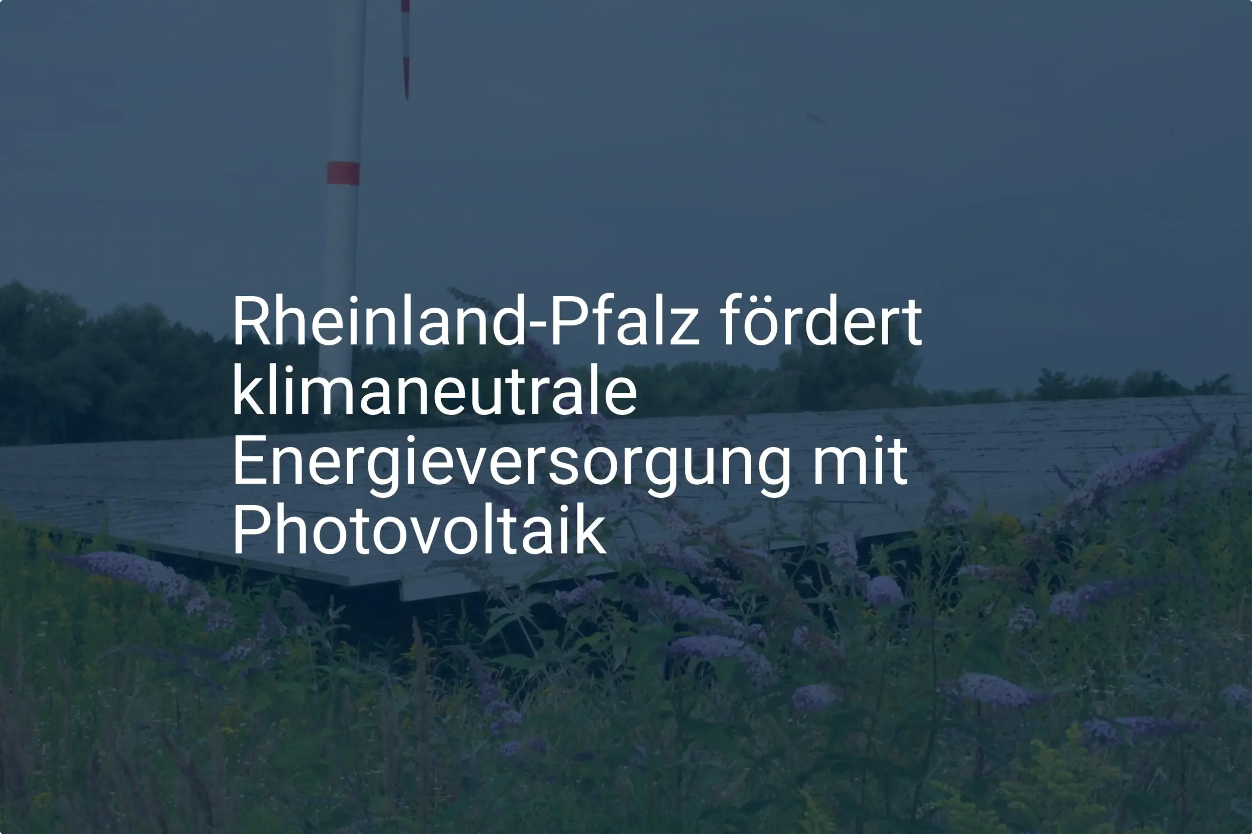 Photovoltaik Förderung in Rheinland-Pfalz: Neue Voraussetzungen 2024