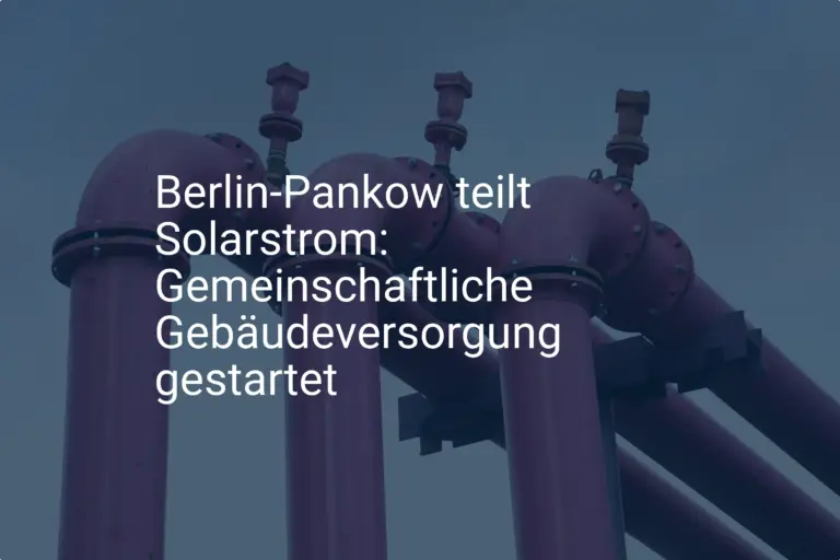 Pilotprojekt in Pankow: So einfach kann man Solarstrom teilen in Berlin