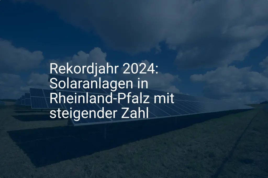 Rekordjahr 2024: Solaranlagen in Rheinland-Pfalz mit steigender Zahl