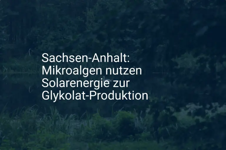 Revolutionäre Glykolat-Produktion mit Mikroalgen in Sachsen-Anhalt