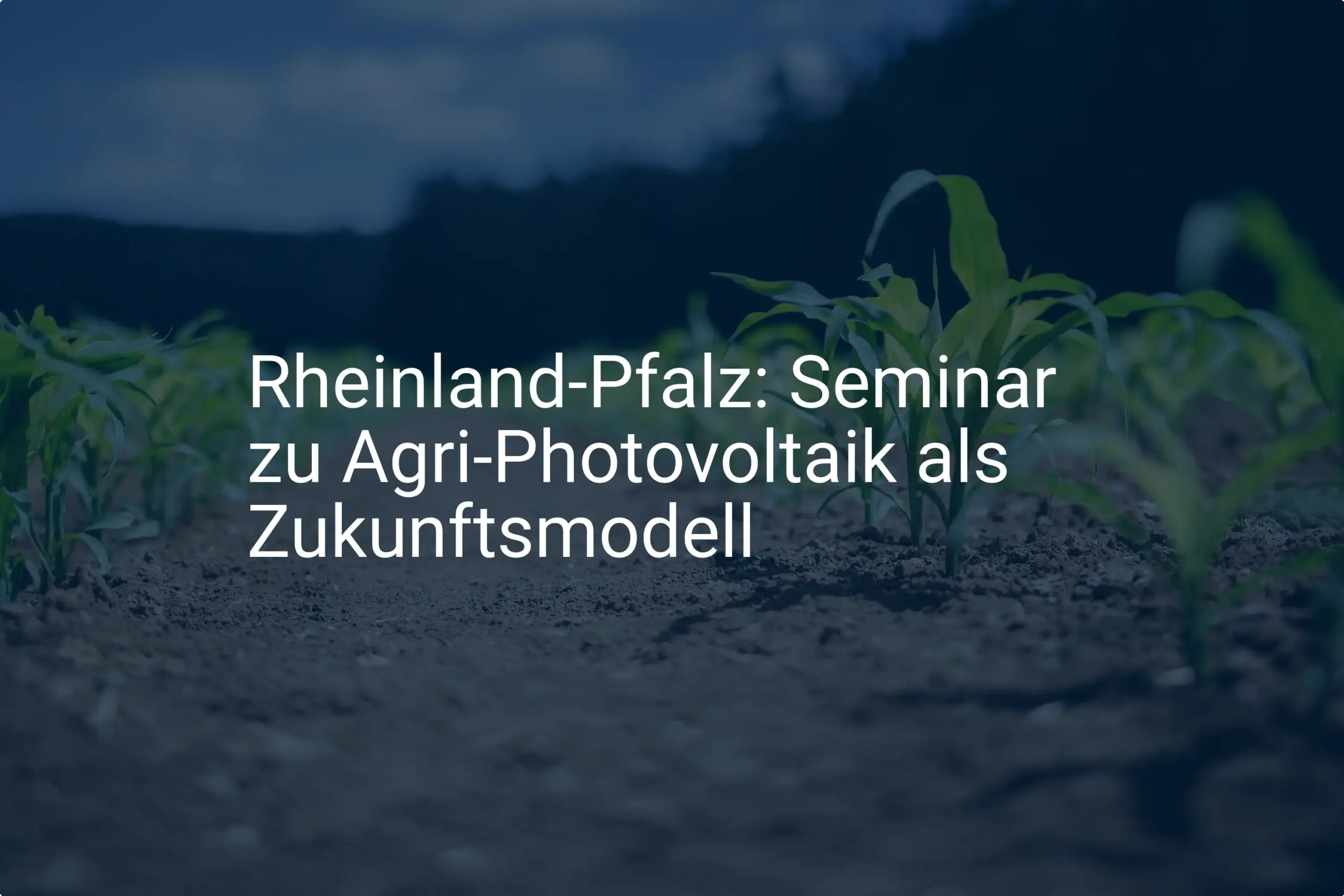 Rheinland-Pfalz: Agri-Photovoltaik Seminar ebnet Weg zum Zukunftsmodell