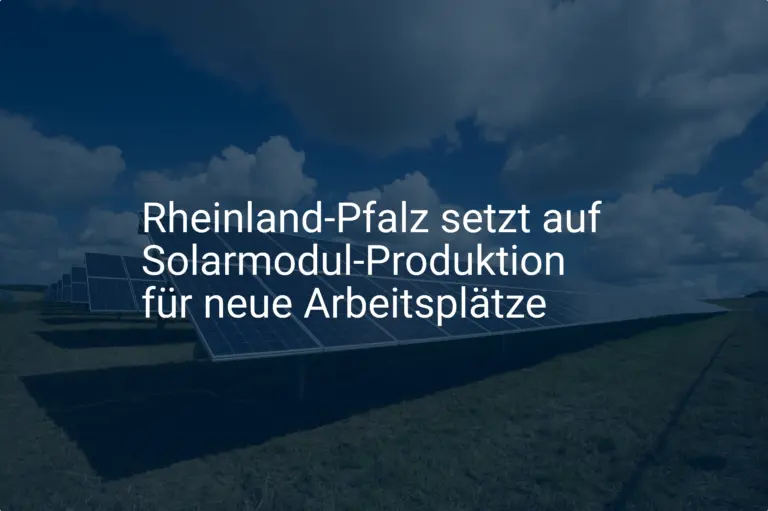 Rheinland-Pfalz setzt auf Solarmodul-Produktion für neue Arbeitsplätze