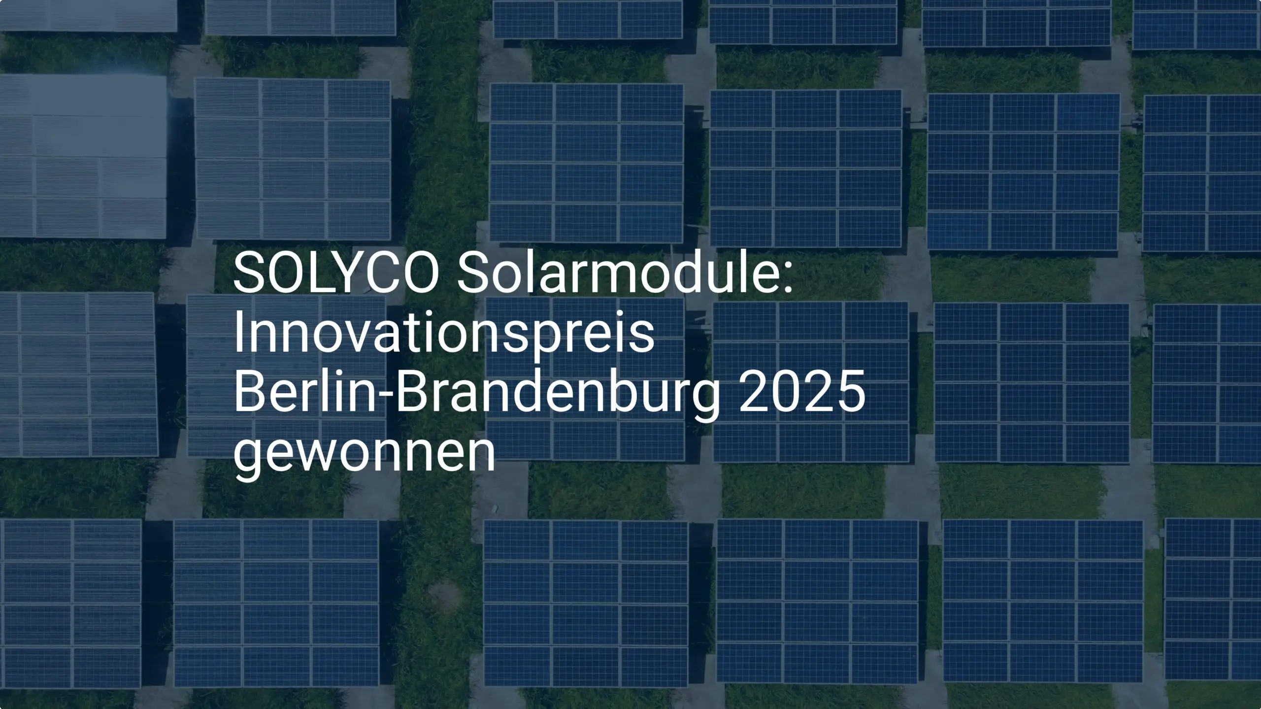 SOLYCO Solarmodule: Innovationspreis Berlin-Brandenburg 2025 gewonnen