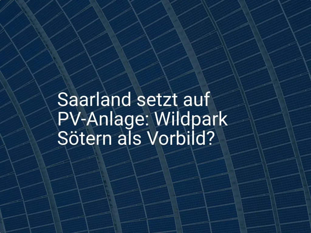 Saarland setzt auf PV-Anlage: Wildpark Sötern als Vorbild?