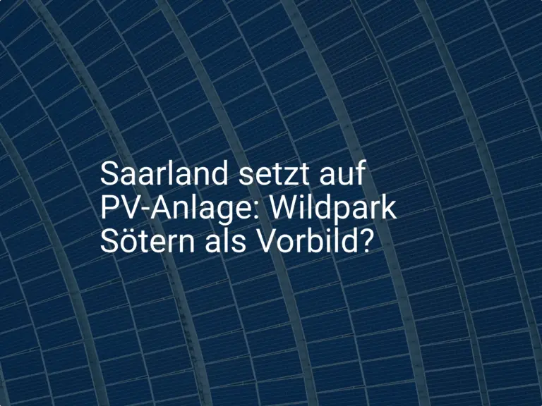 Saarland setzt auf PV-Anlage: Wildpark Sötern als Vorbild?