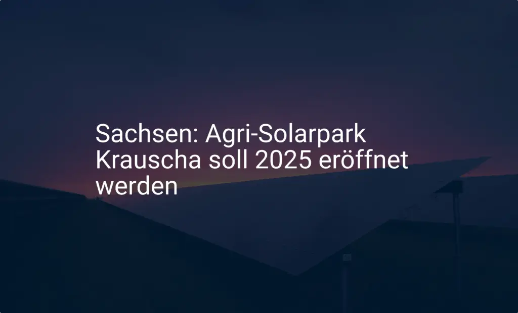 Sachsen: Agri-Solarpark Krauscha soll 2025 eröffnet werden