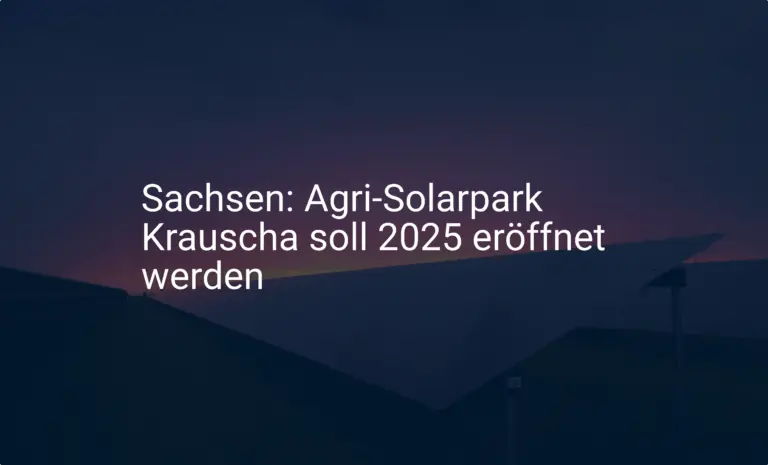 Sachsen: Agri-Solarpark Krauscha soll 2025 eröffnet werden