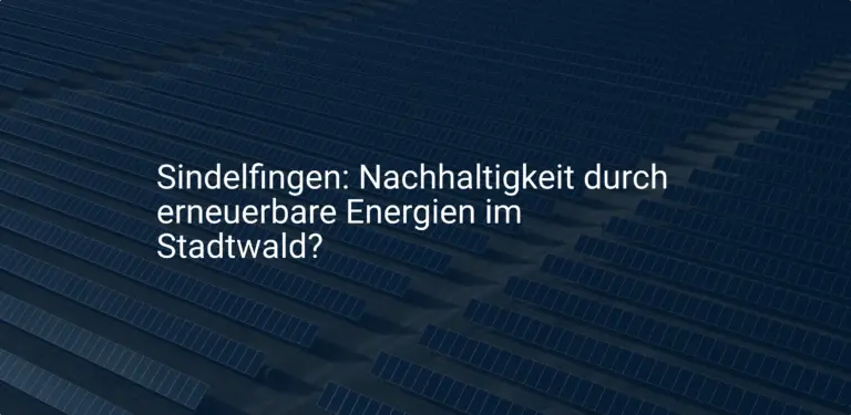 Sindelfingen: Nachhaltigkeit durch erneuerbare Energien im Stadtwald?