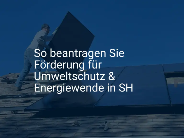 So beantragen Sie Förderung für Umweltschutz & Energiewende in SH