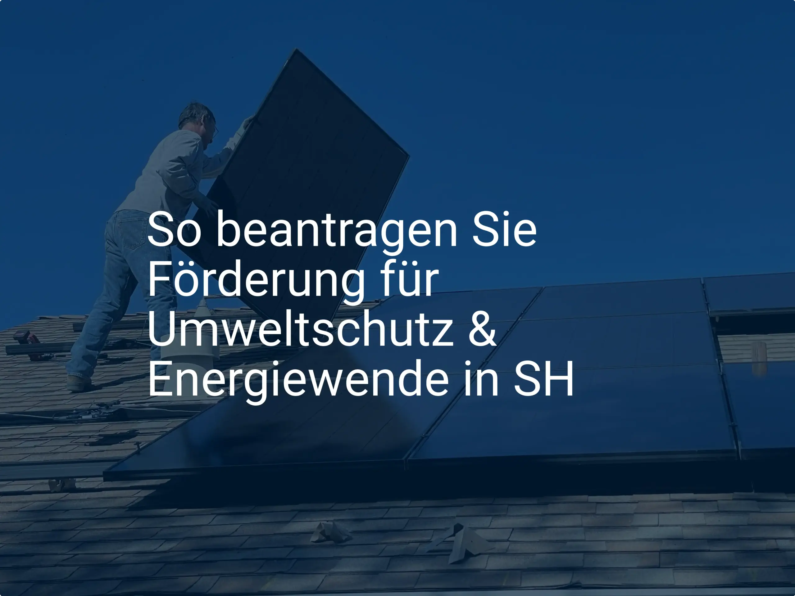 So beantragen Sie Förderung für Umweltschutz & Energiewende in SH