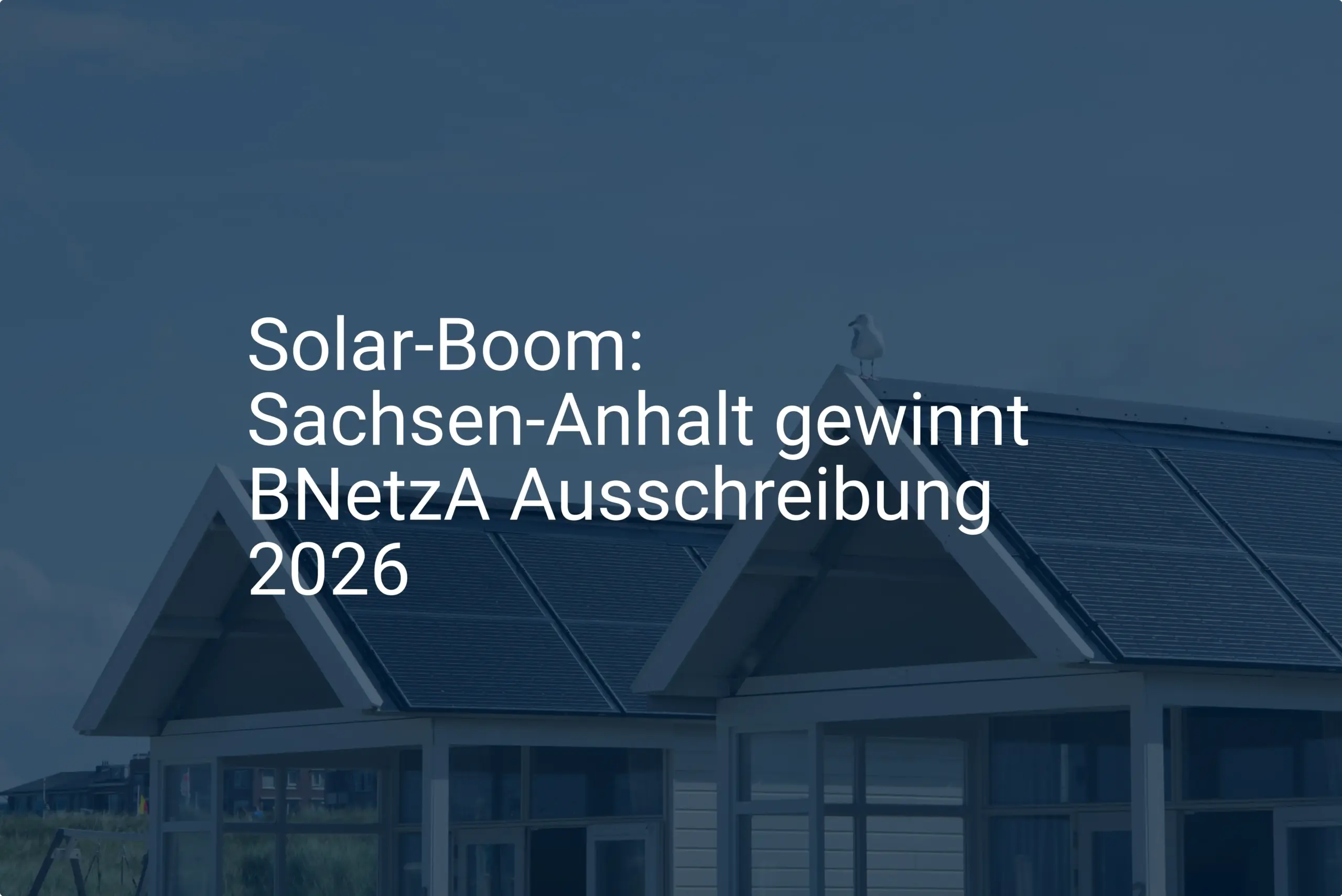 Solar-Boom: Sachsen-Anhalt gewinnt BNetzA Ausschreibung 2026
