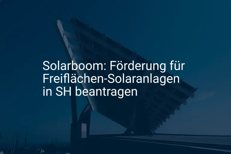 Solarboom: Förderung für Freiflächen-Solaranlagen in SH beantragen