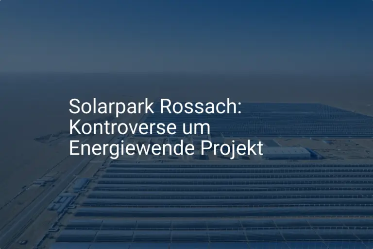 Solarpark Rossach: Kritik am Energiewende-Projekt schürt Kontroverse