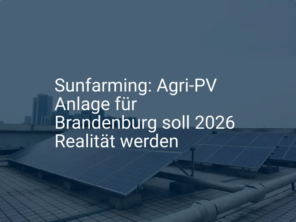 Sunfarming: Agri-PV Anlage für Brandenburg soll 2026 Realität werden