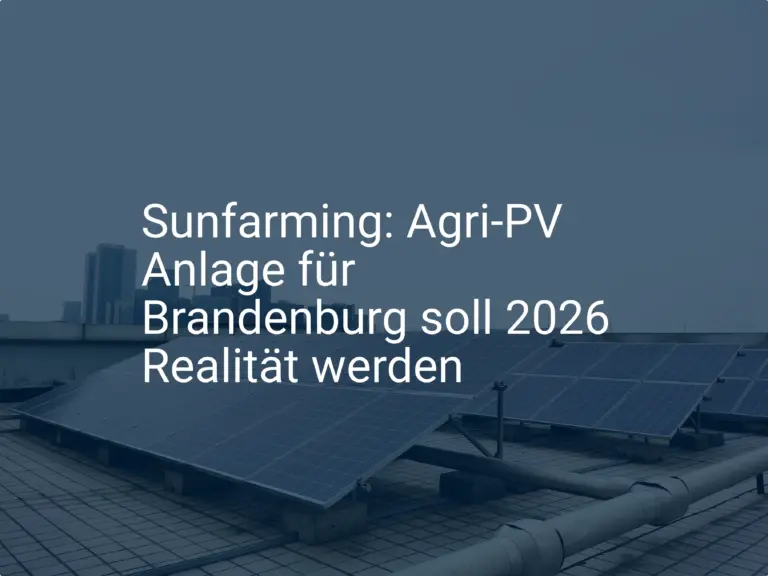 Sunfarming: Agri-PV Anlage für Brandenburg soll 2026 Realität werden