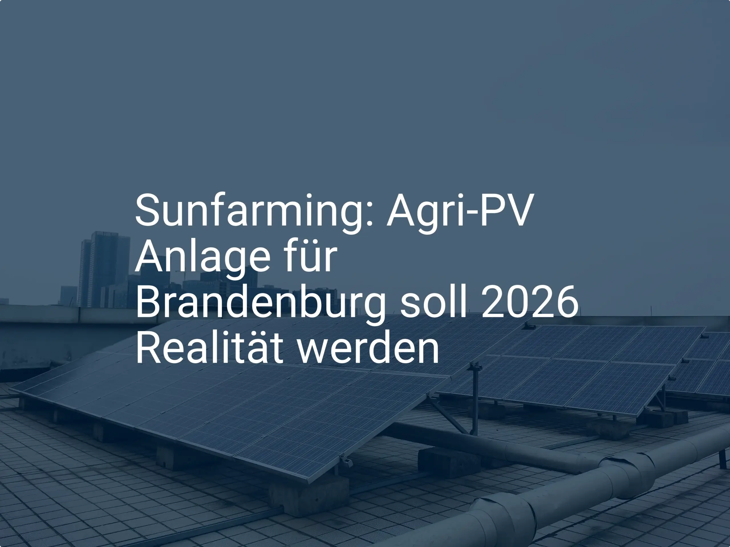 Sunfarming: Agri-PV Anlage für Brandenburg soll 2026 Realität werden