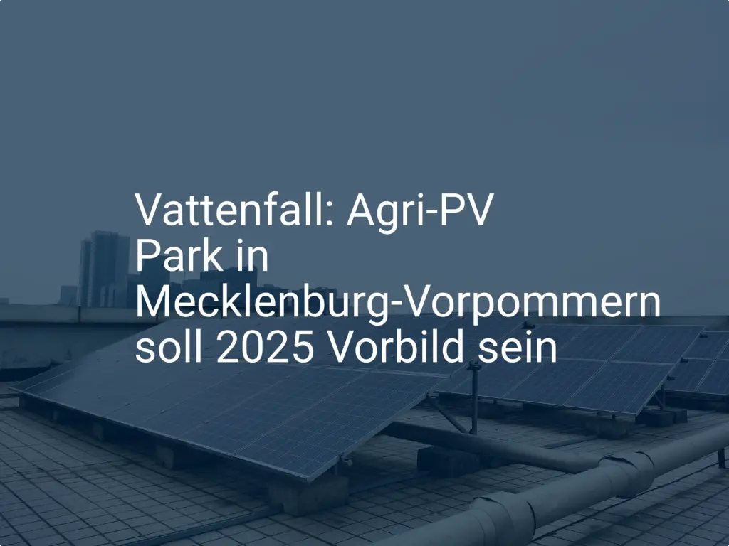 Vattenfall: Agri-PV Park in Mecklenburg-Vorpommern soll 2025 Vorbild sein