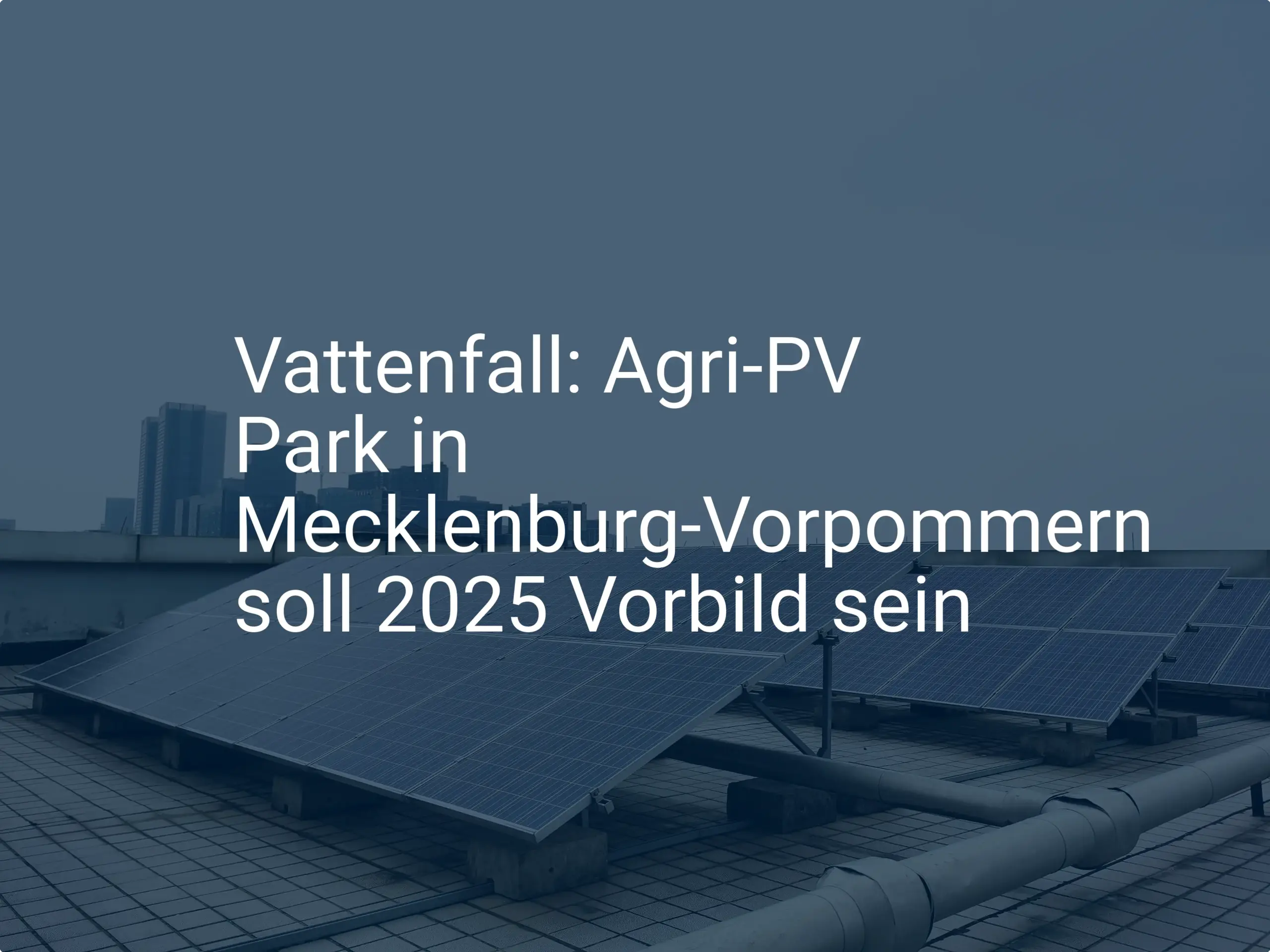 Vattenfall: Agri-PV Park in Mecklenburg-Vorpommern soll 2025 Vorbild sein
