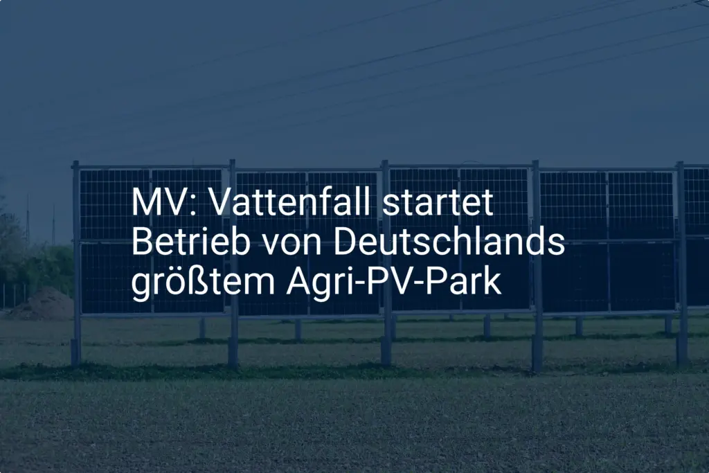 Vattenfall eröffnet größten Agri-PV Park in Mecklenburg-Vorpommern