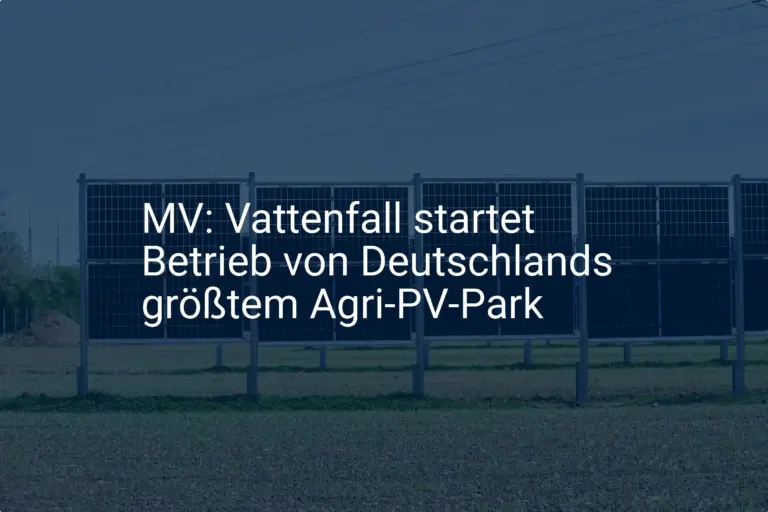 Vattenfall eröffnet größten Agri-PV Park in Mecklenburg-Vorpommern