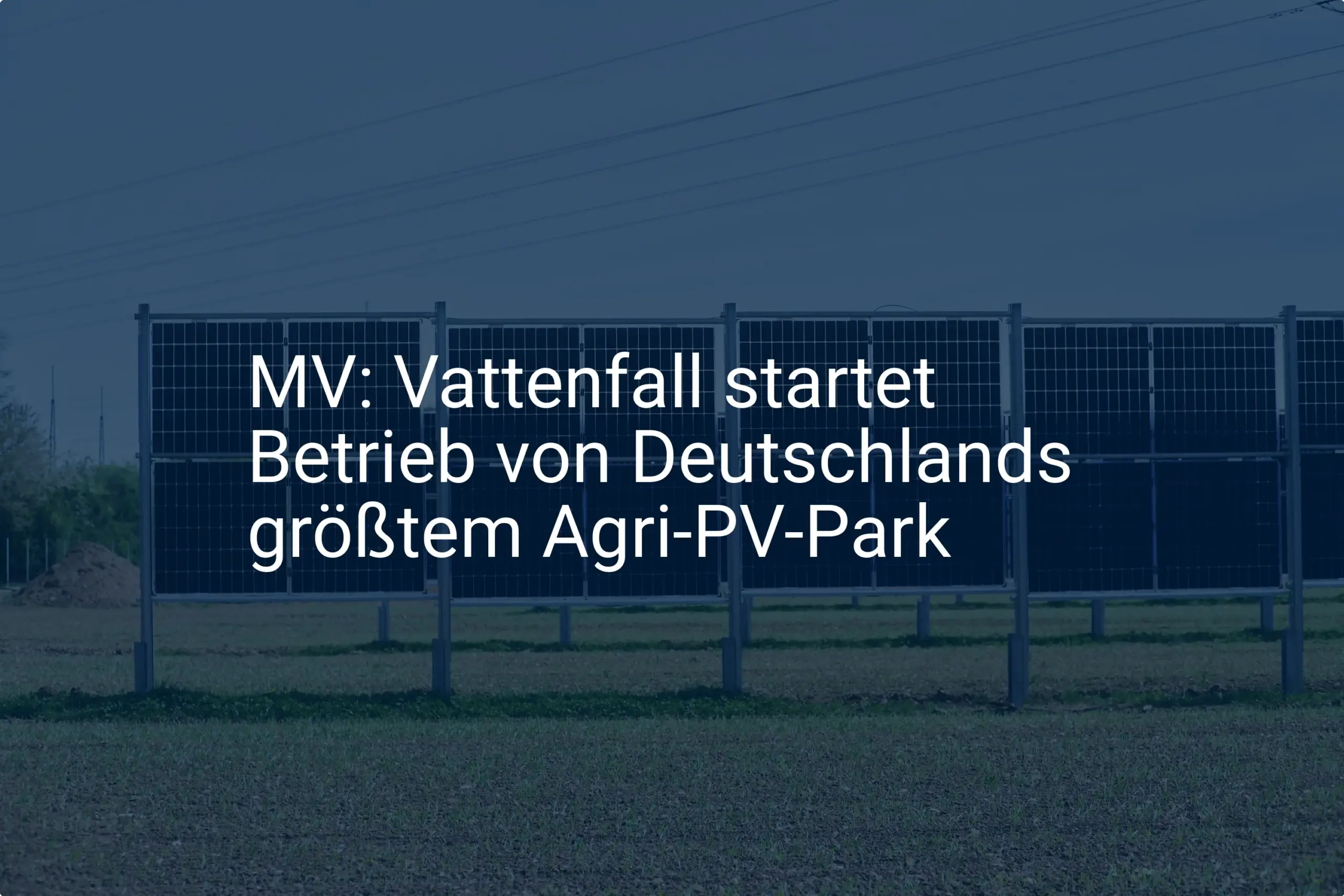 Vattenfall eröffnet größten Agri-PV Park in Mecklenburg-Vorpommern