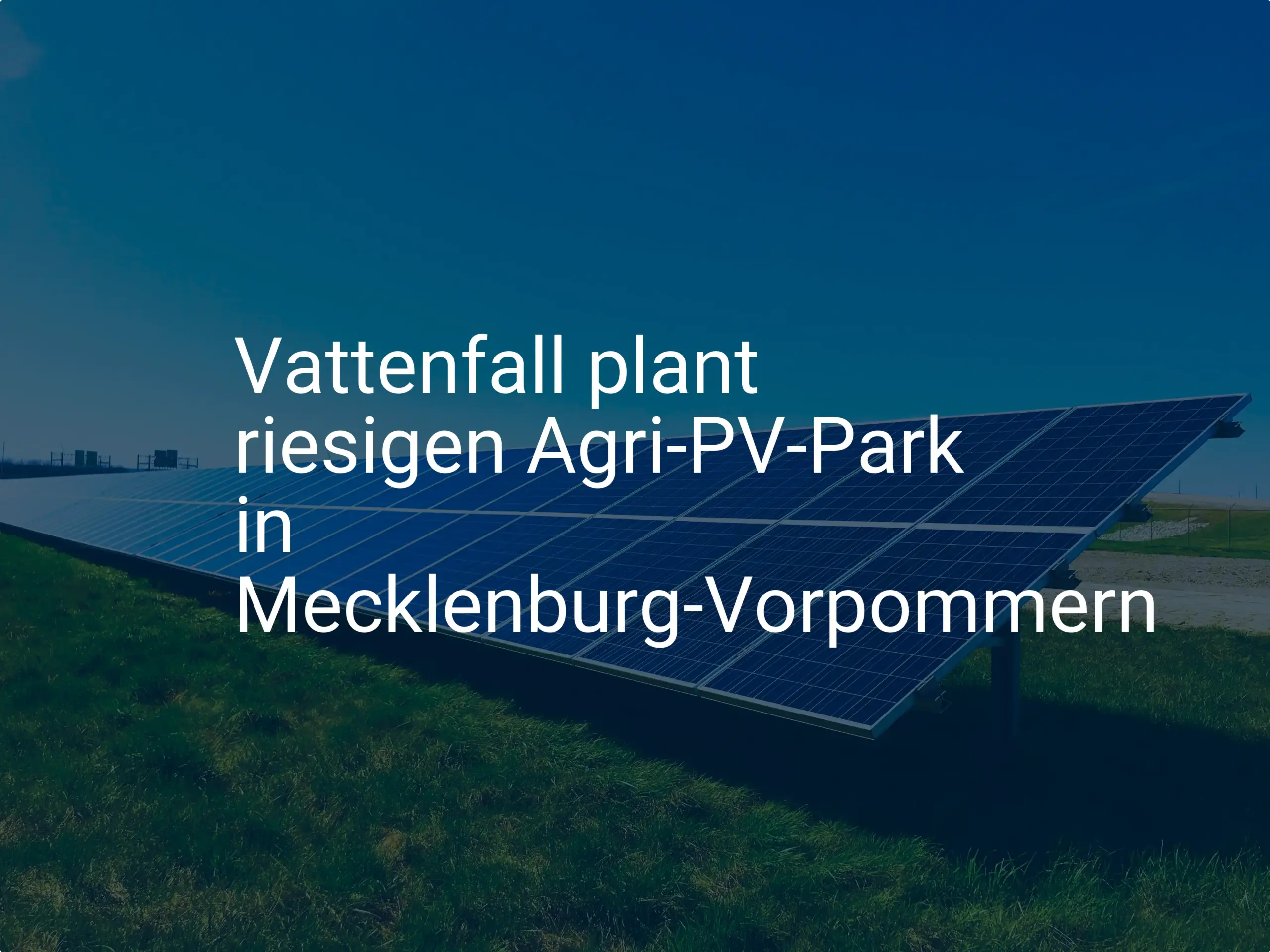 Vattenfall plant riesigen Agri-PV-Park in Mecklenburg-Vorpommern
