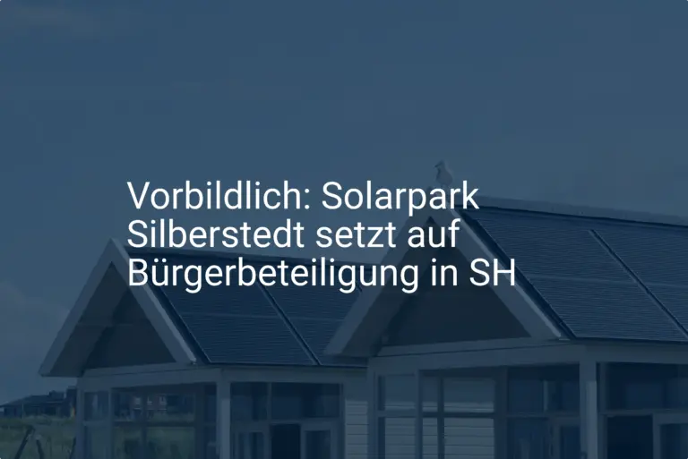 Vorbildlich: Solarpark Silberstedt setzt auf Bürgerbeteiligung in SH