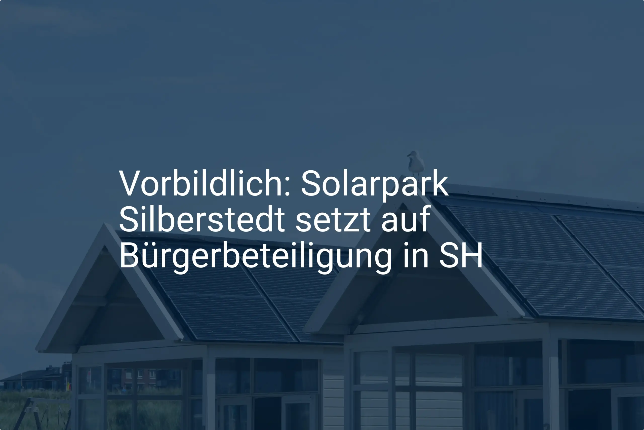 Vorbildlich: Solarpark Silberstedt setzt auf Bürgerbeteiligung in SH