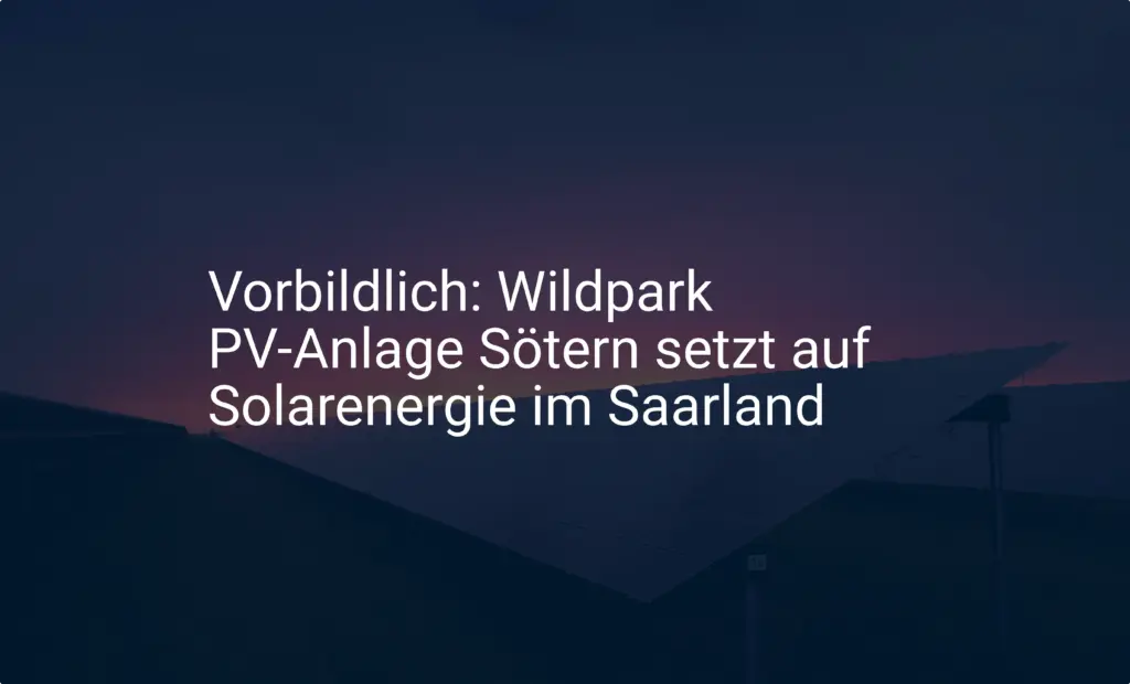 Vorbildlich: Wildpark PV-Anlage Sötern setzt auf Solarenergie im Saarland