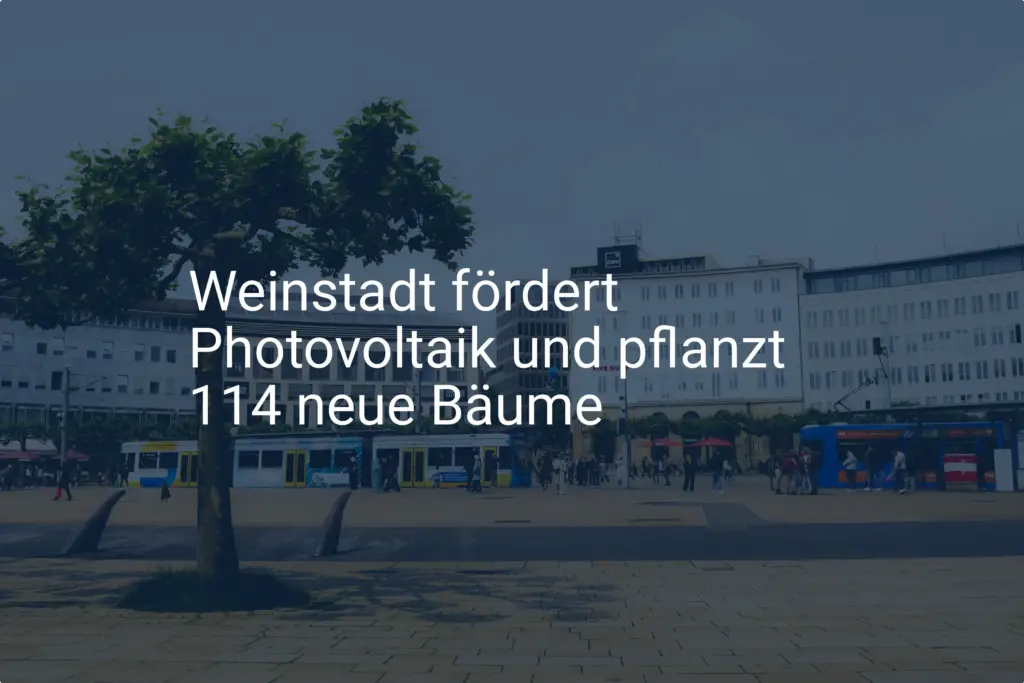 Weinstadt: Mehr Klimaschutz durch Photovoltaik-Förderung und Baumpflanzung