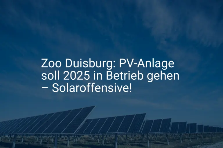 Zoo Duisburg: PV-Anlage soll 2025 in Betrieb gehen – Solaroffensive!