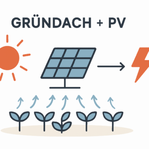 Gründach-Photovoltaik in Berlin effektiv kombinieren