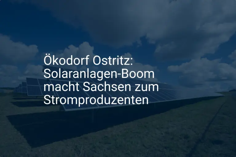 Ökodorf Ostritz: Solaranlagen-Boom macht Sachsen zum Stromproduzenten