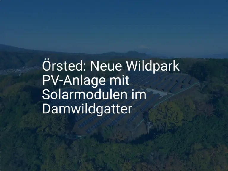 Örsted: Neue Wildpark PV-Anlage mit Solarmodulen im Damwildgatter