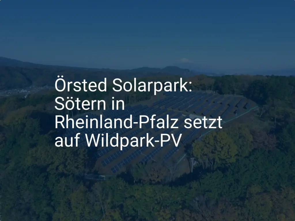 Örsted Solarpark: Sötern in Rheinland-Pfalz setzt auf Wildpark-PV