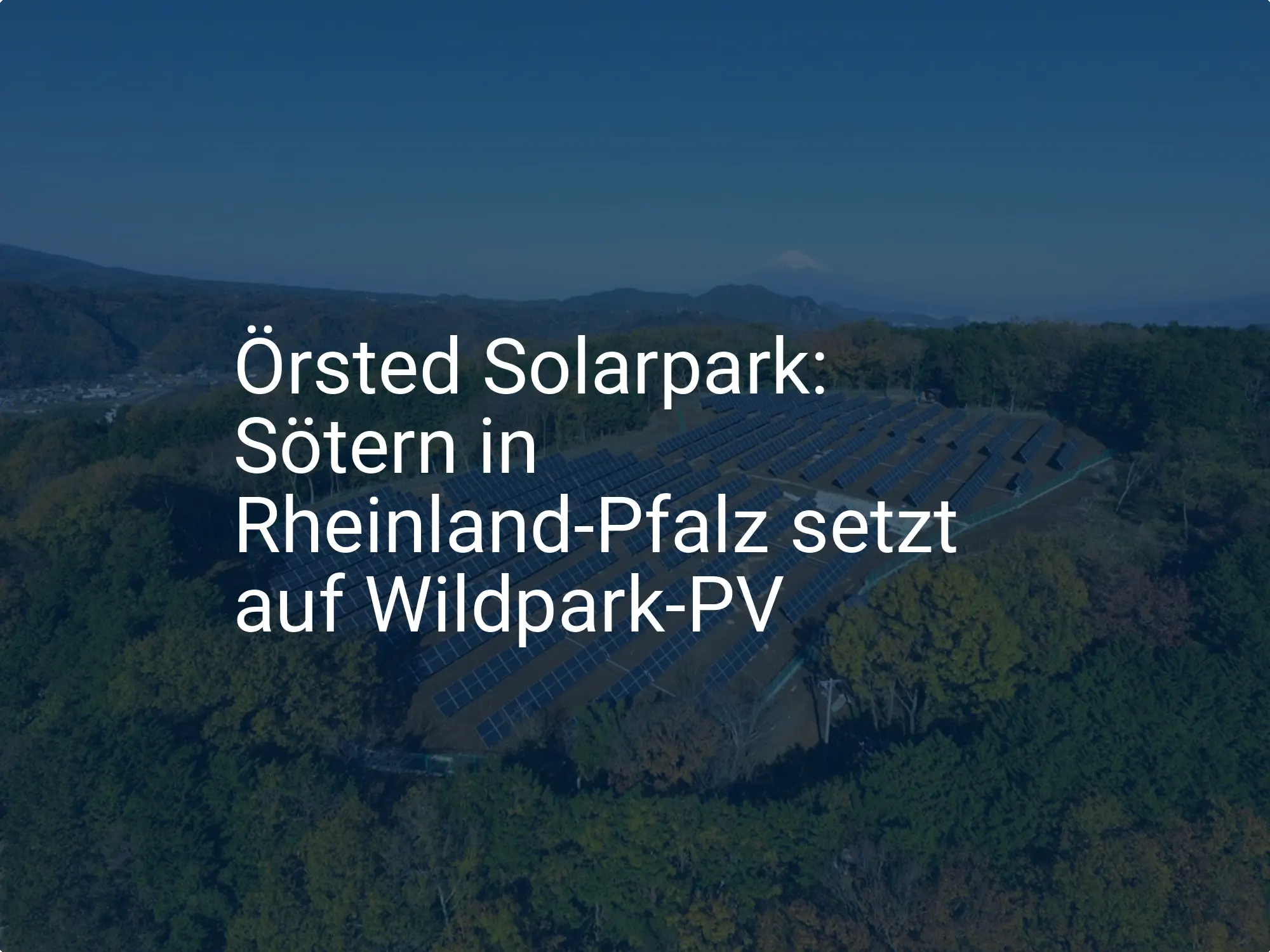 Örsted Solarpark: Sötern in Rheinland-Pfalz setzt auf Wildpark-PV