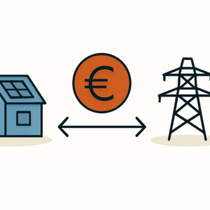 Zusatzförderung für netz-dienliche PV-Anlagen verstehen